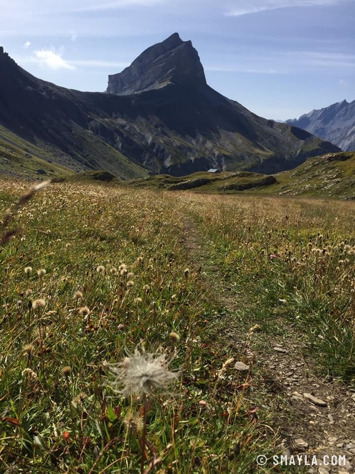 Pic rocheux au-dessus de l'alpage