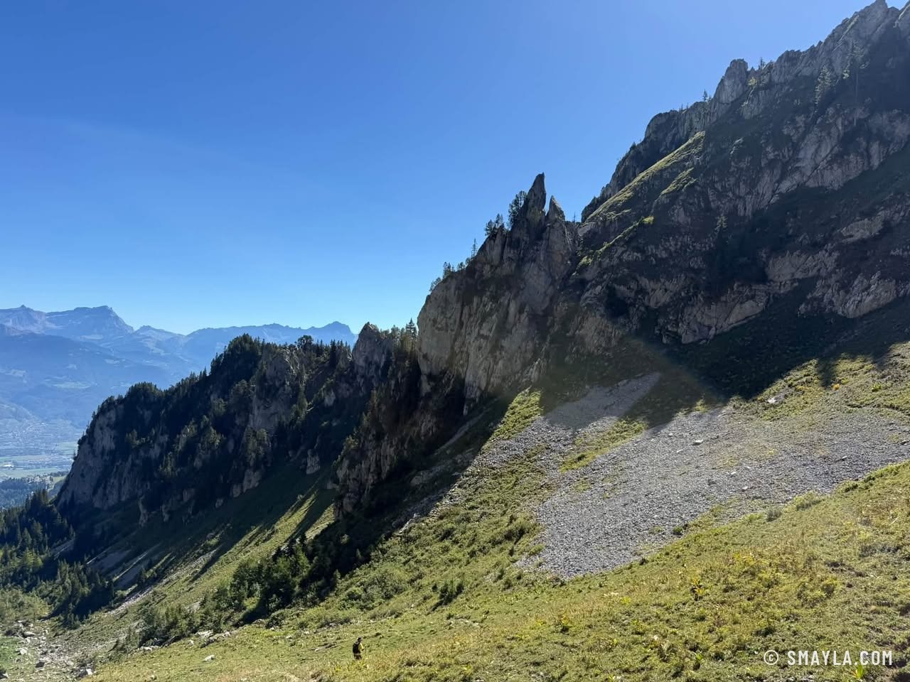 Crête déchiquetée