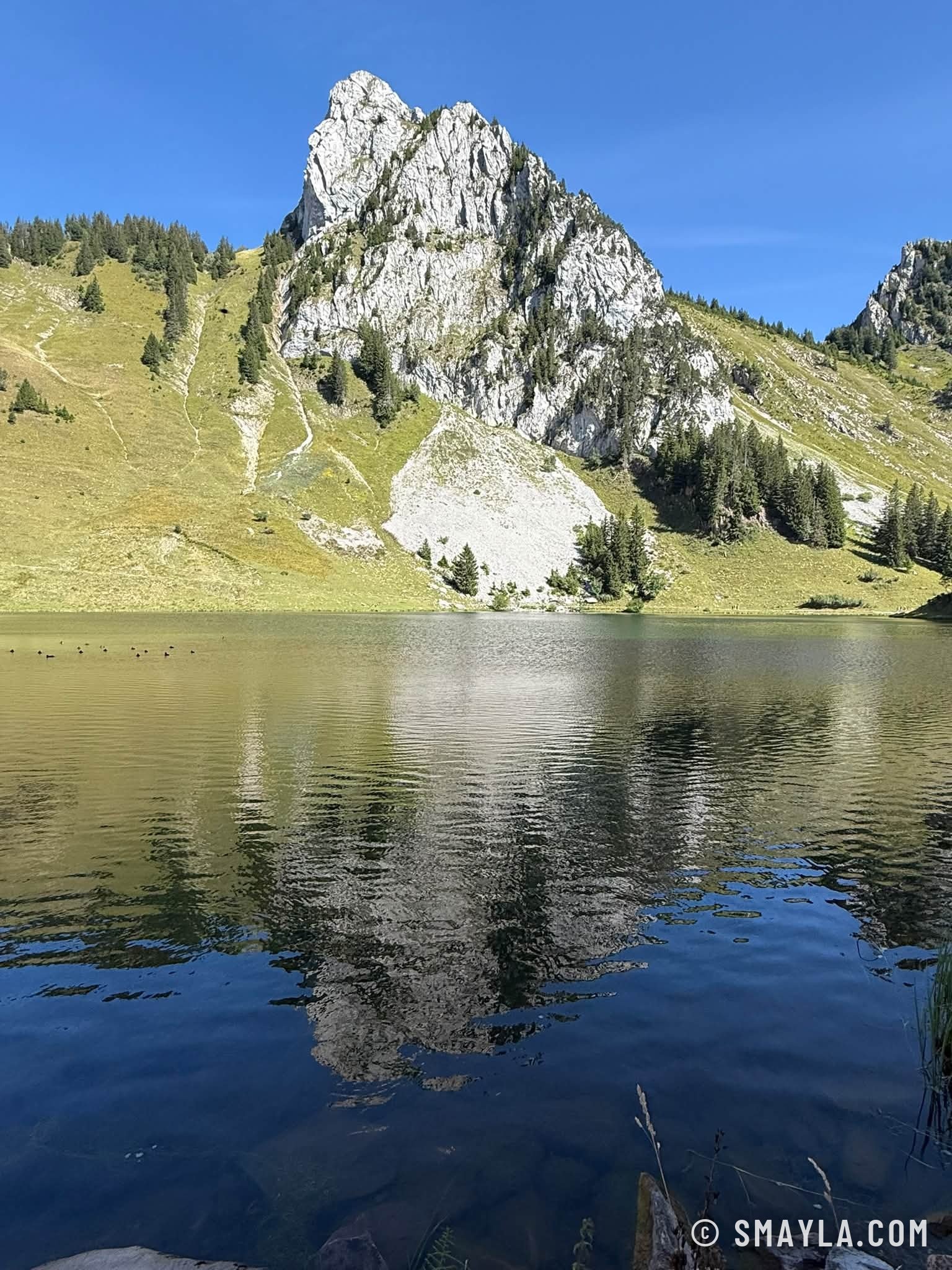 Reflet dans le lac d'Arvouin