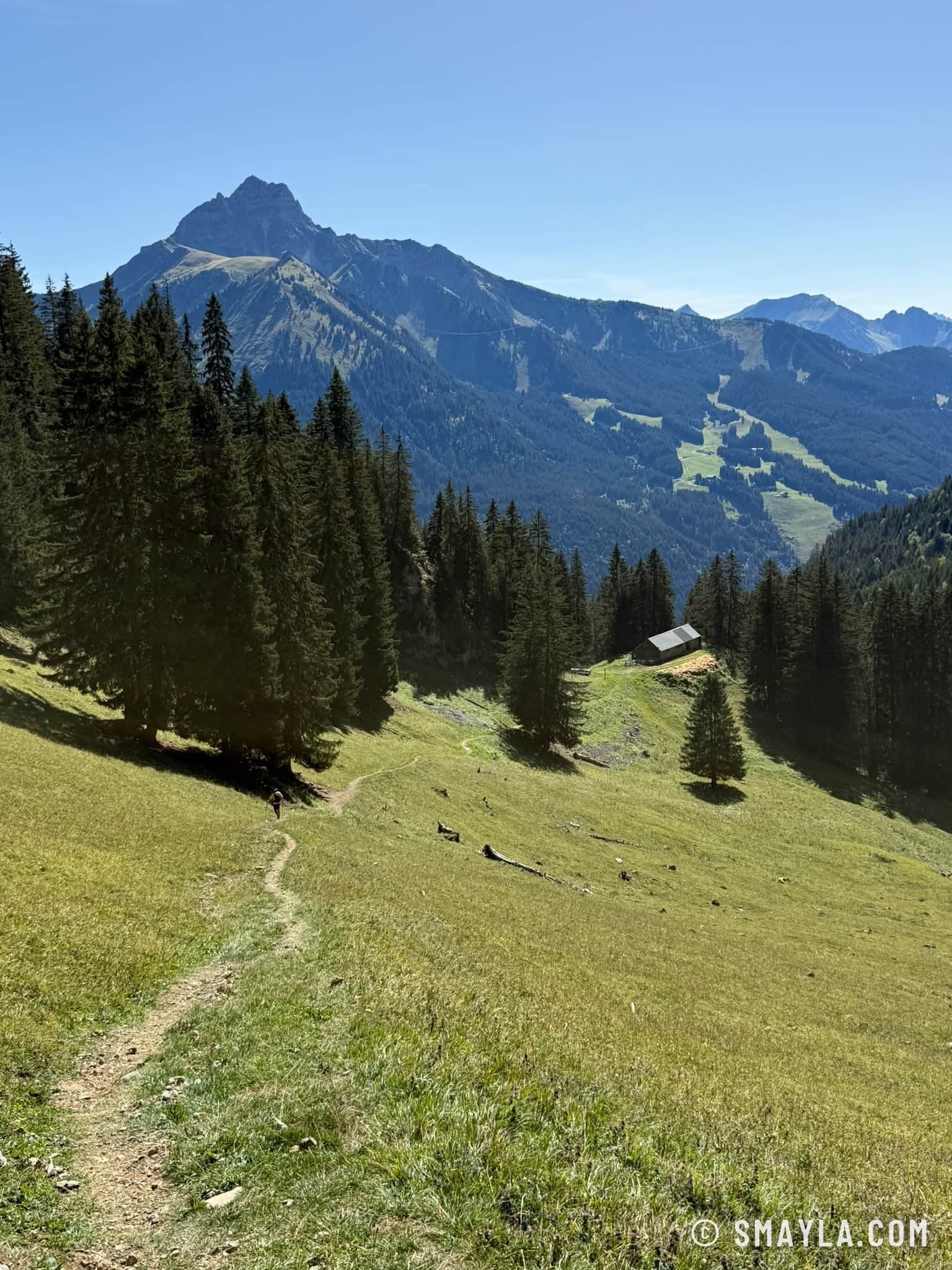Sentier dans l'alpage