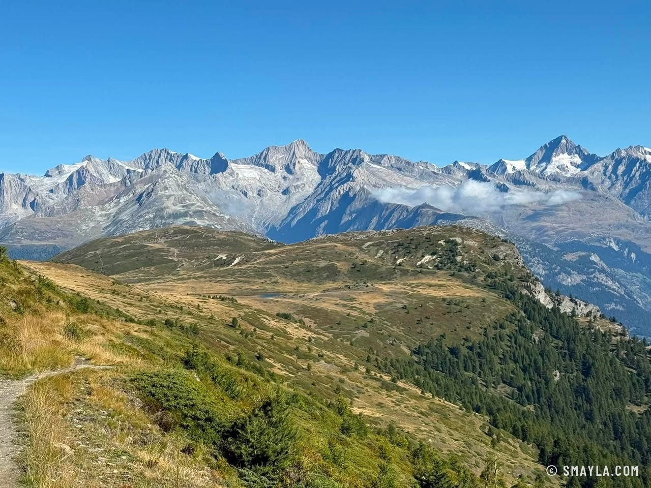 Panorama sur les Alpes