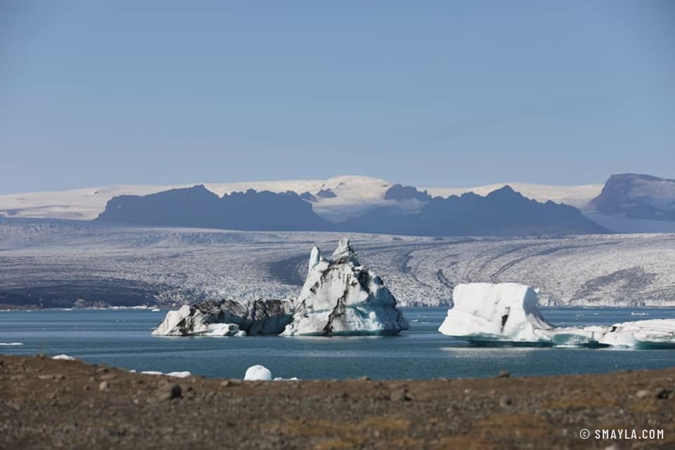 Icebergs dans la lagune