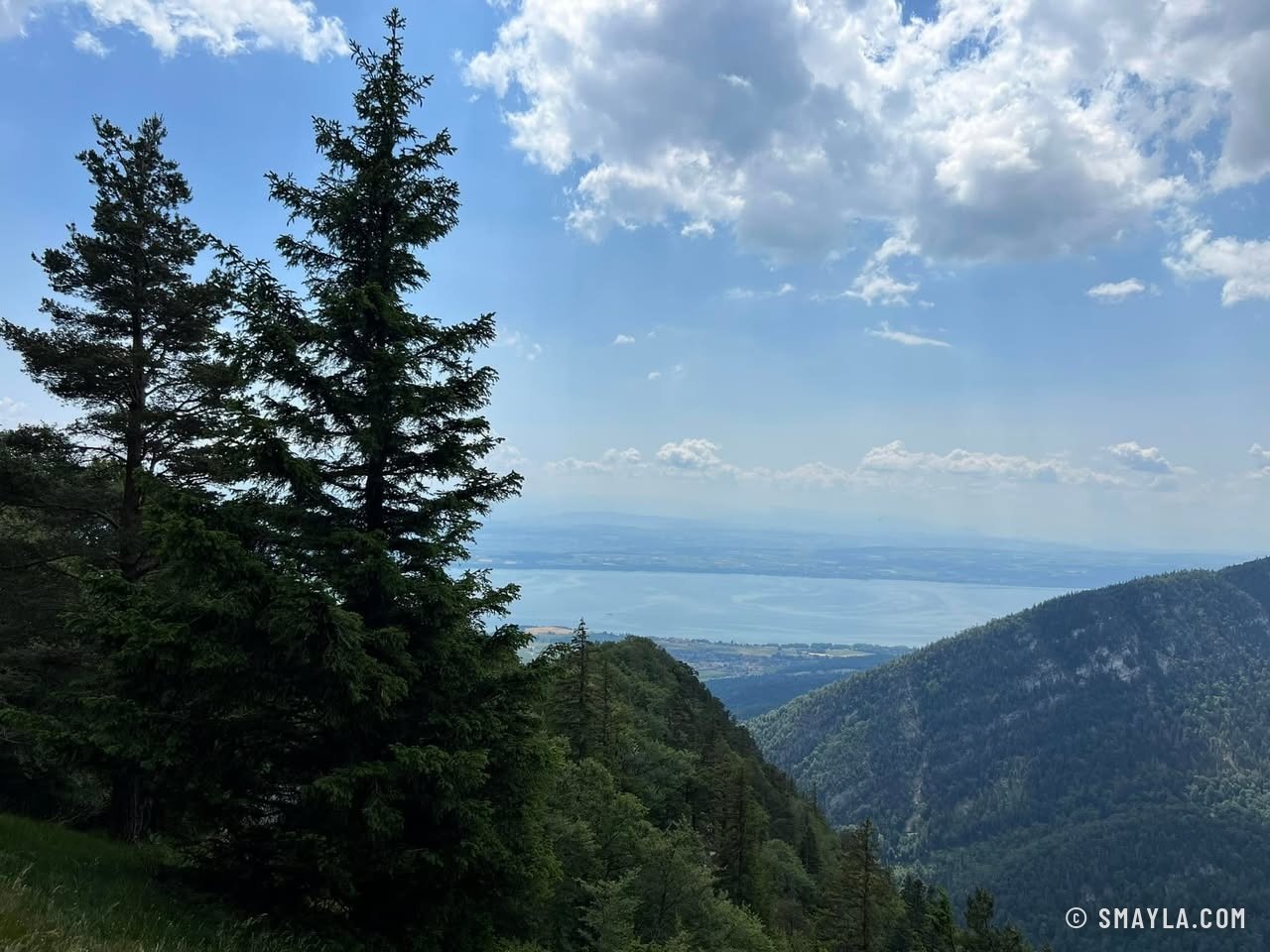 Le lac de Neuchâtel entre les sapins
