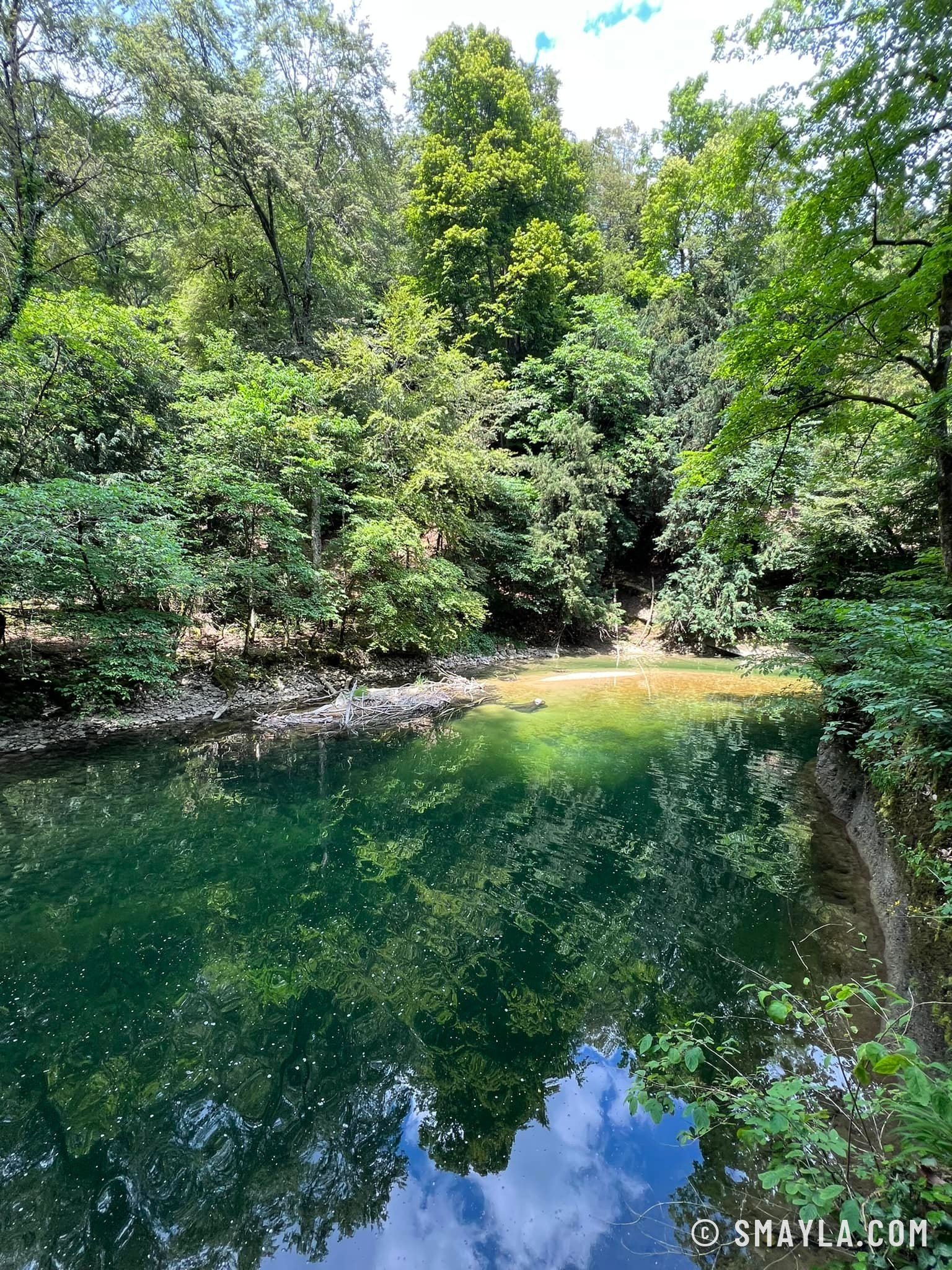 Eau verte dans les gorges