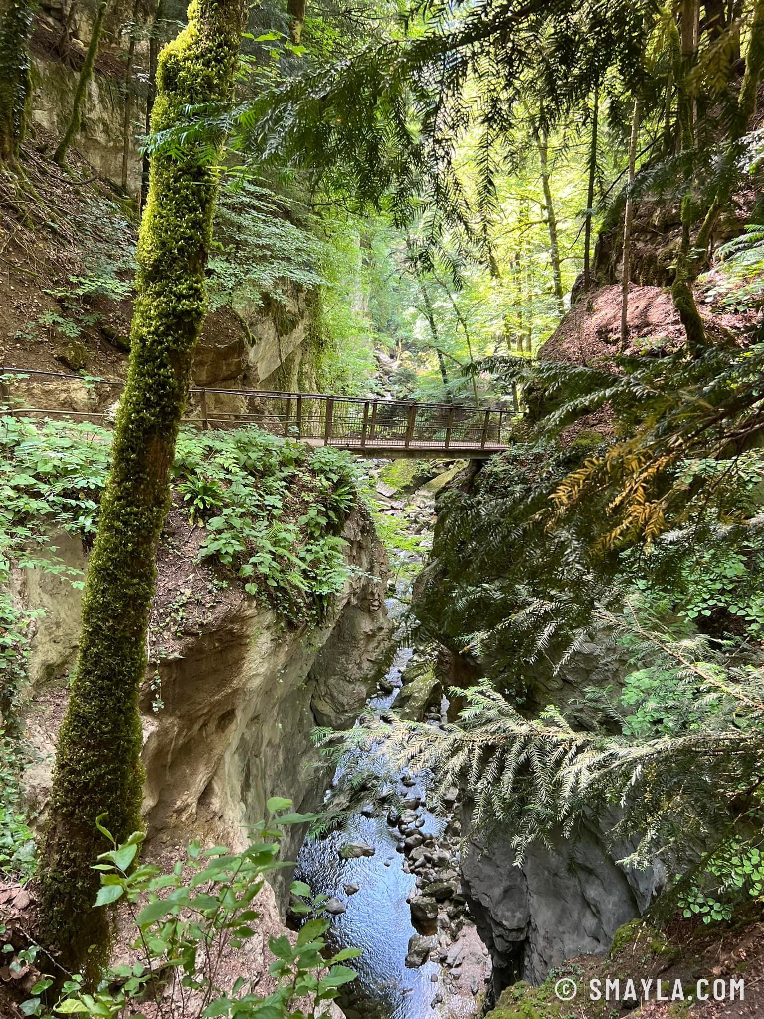Passerelle dans les gorges