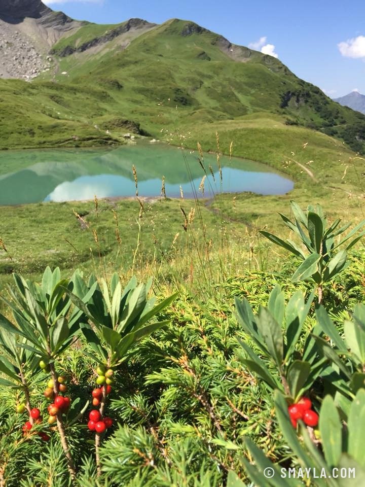 Le lac d'Anthème