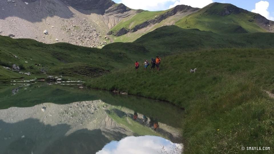 Reflets dans un laquet