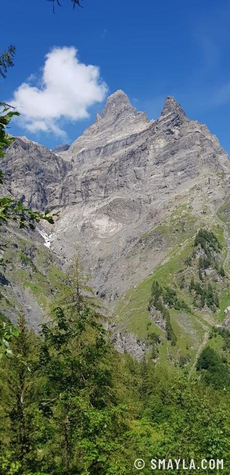 Pics rocheux au-dessus de la forêt