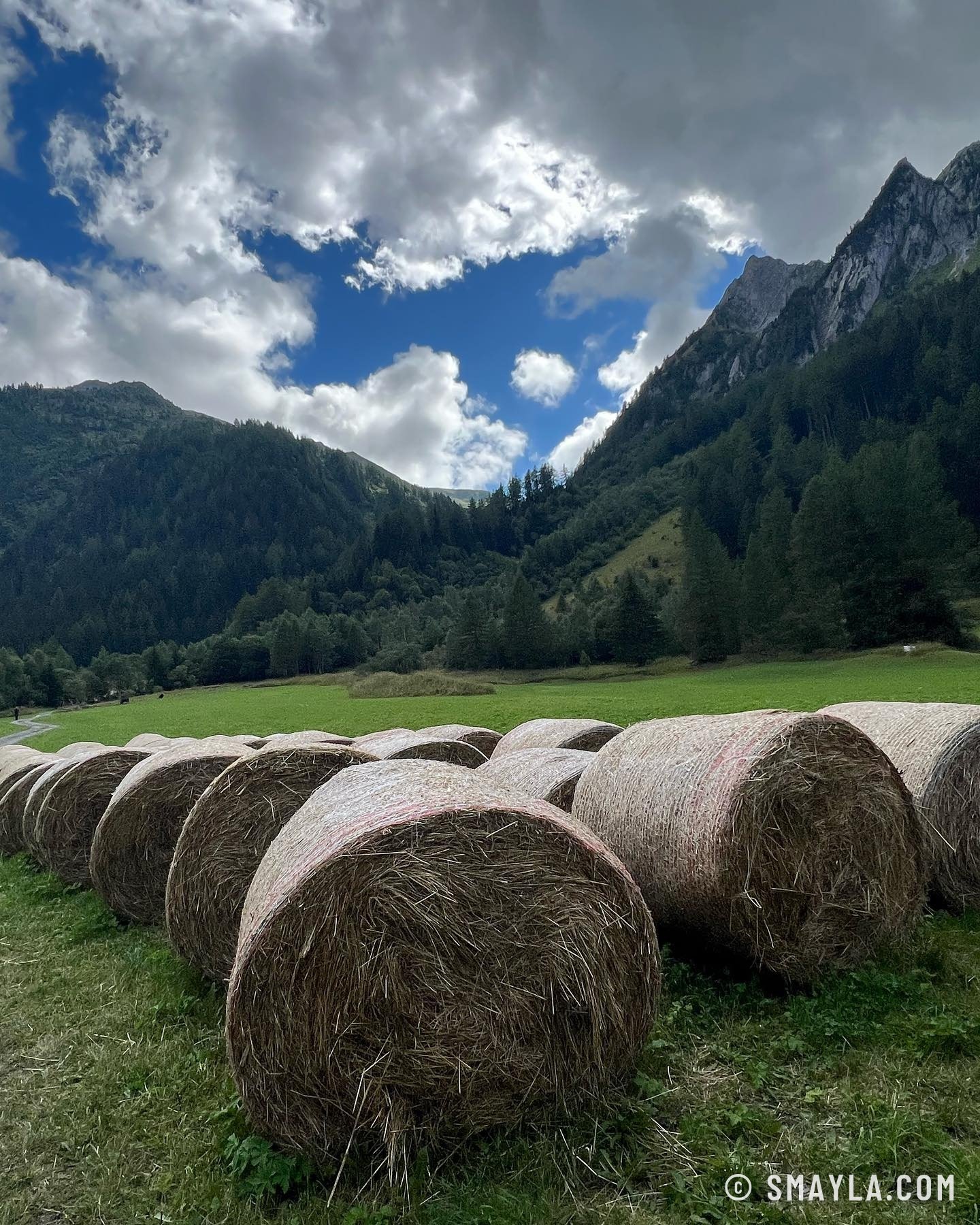 Balles de foin au départ de Trient