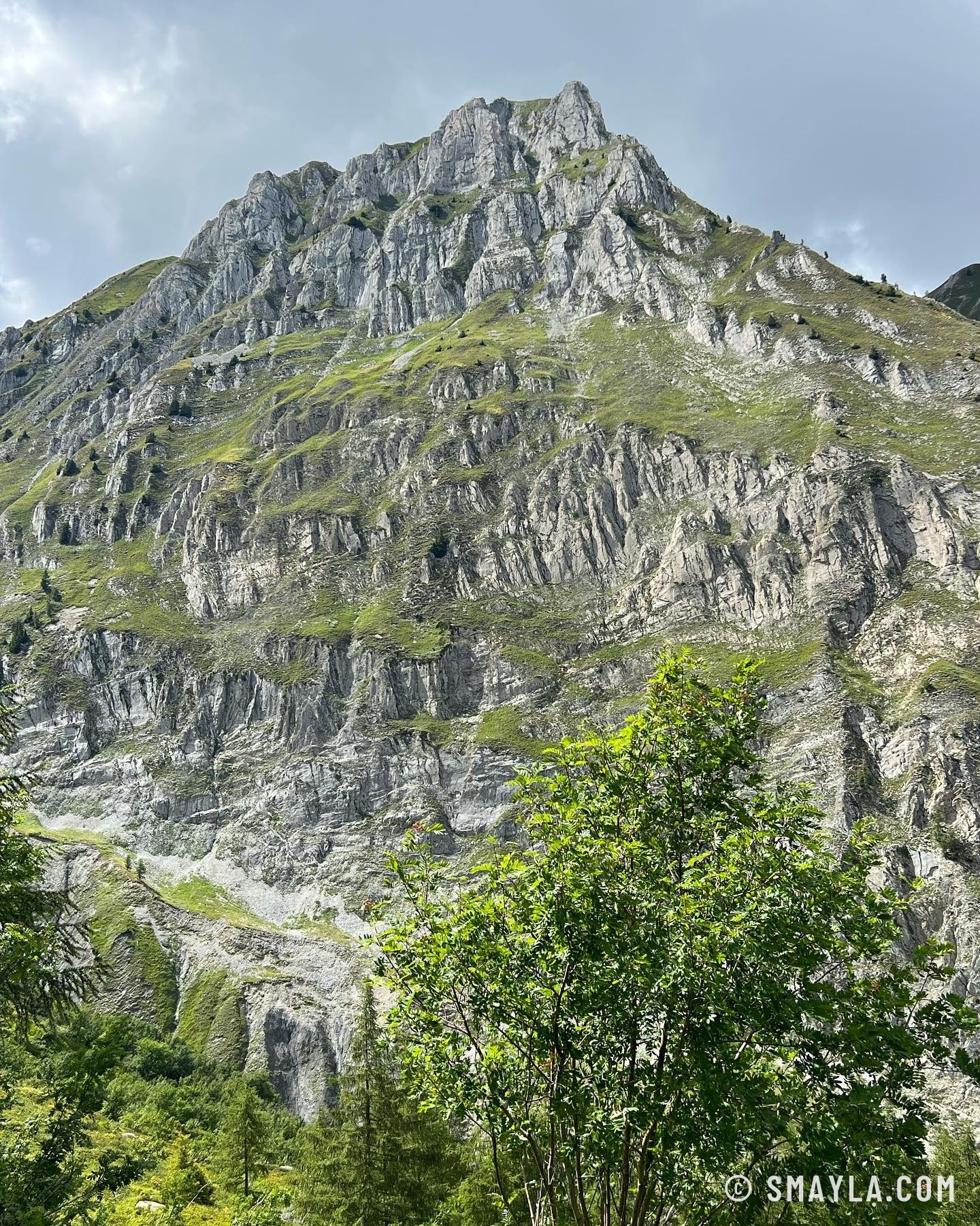 Paroi rocheuse au-dessus de la forêt