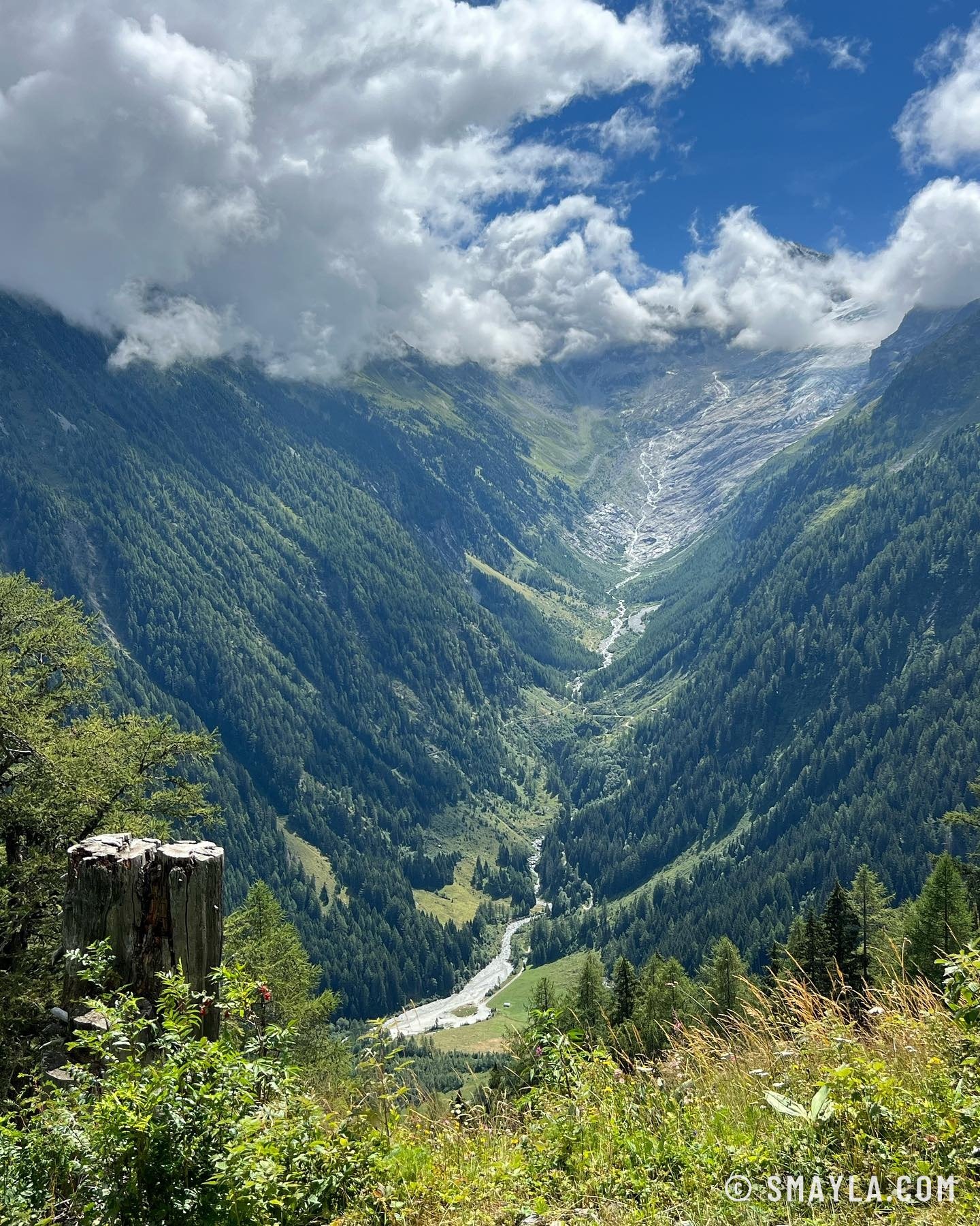 La vallée et le glacier du Trient